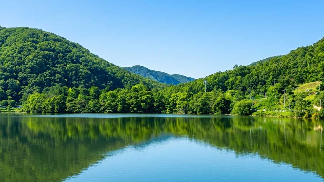 청명한 하늘 아래 숲과 잔잔한 수면이 어우러진 원남지 호숫길. / 음성군 문화관광, ai