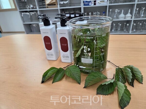탈모증상 완화 원료로 쓰이는 팥배나무/투어코리아뉴스 정명달 기자