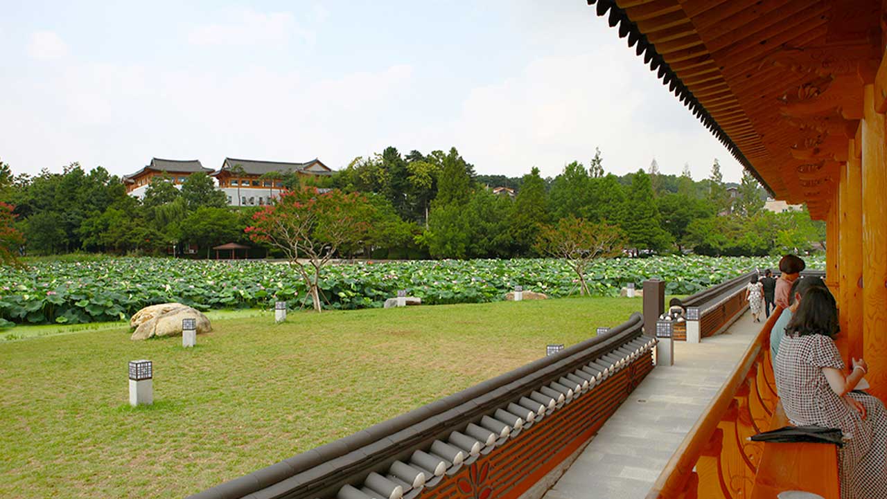 연못을 가득 채운 푸른 연잎 풍경이 보인다. / 비짓전주