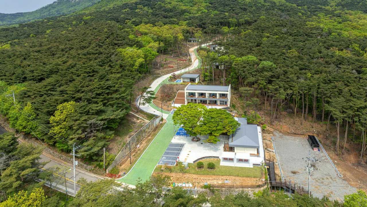 빽빽한 소나무 숲속에 아늑하게 들어선 국내 첫 도서형 자연휴양림 전경. / 숲나들e