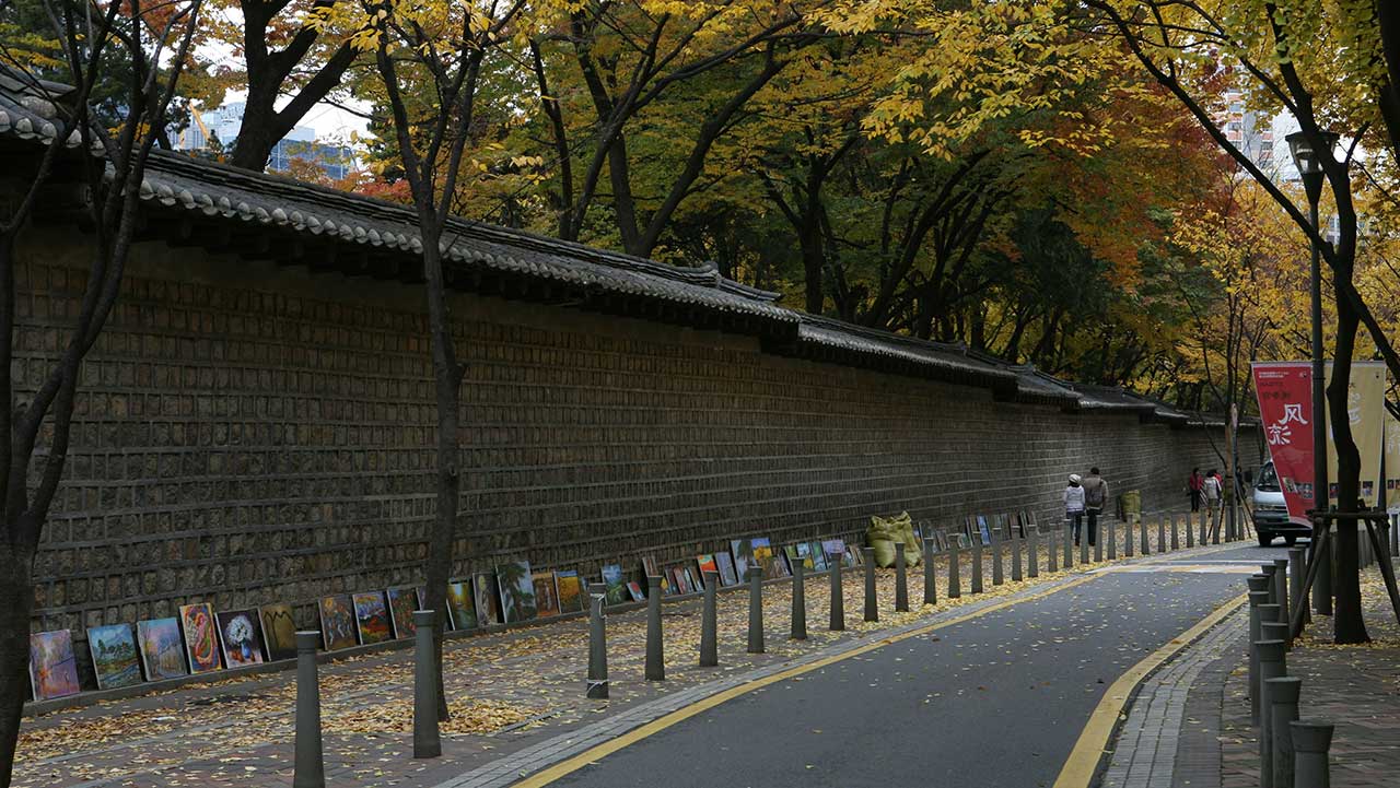 고즈넉한 돌담과 운치 있는 가로수가 늘어선 덕수궁 돌담길 풍경. / ⓒ한국관광콘텐츠랩-이범수