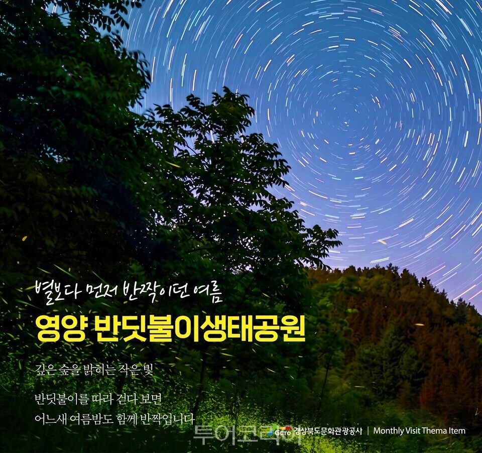 여름밤 날아다니던 살아있는 별똥별 ‘반딧불이’ 잡기 ／경북문화관광공사 제공