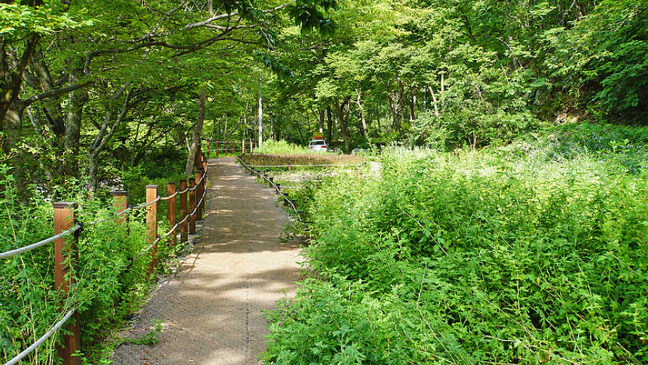 깔끔하게 정비돼 걷기 편한 산책 동선. / 경남 공식 블로그 고은주
