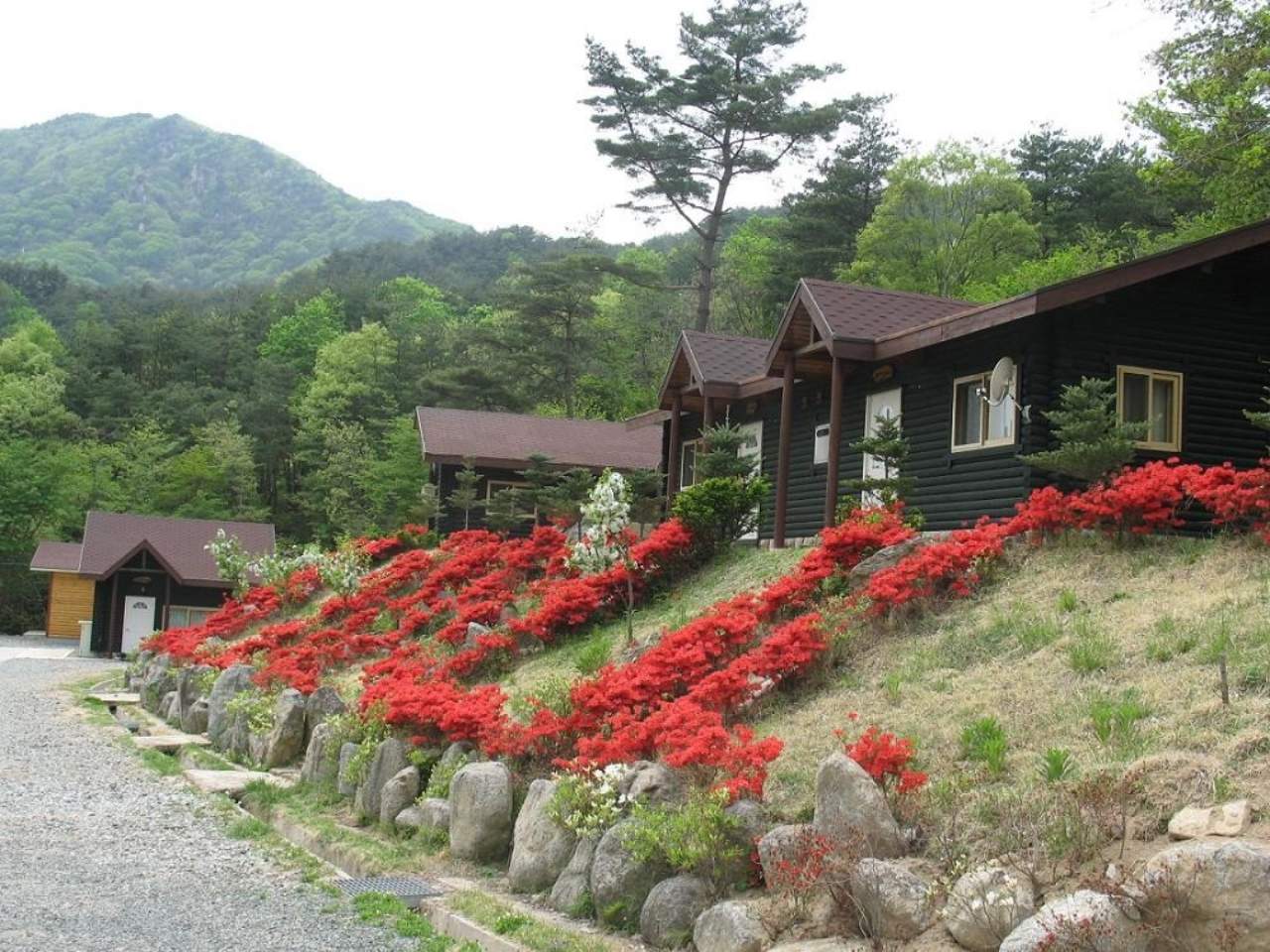 합천 오도산자연휴양림 숲속의 집. / 숲나들e 제공