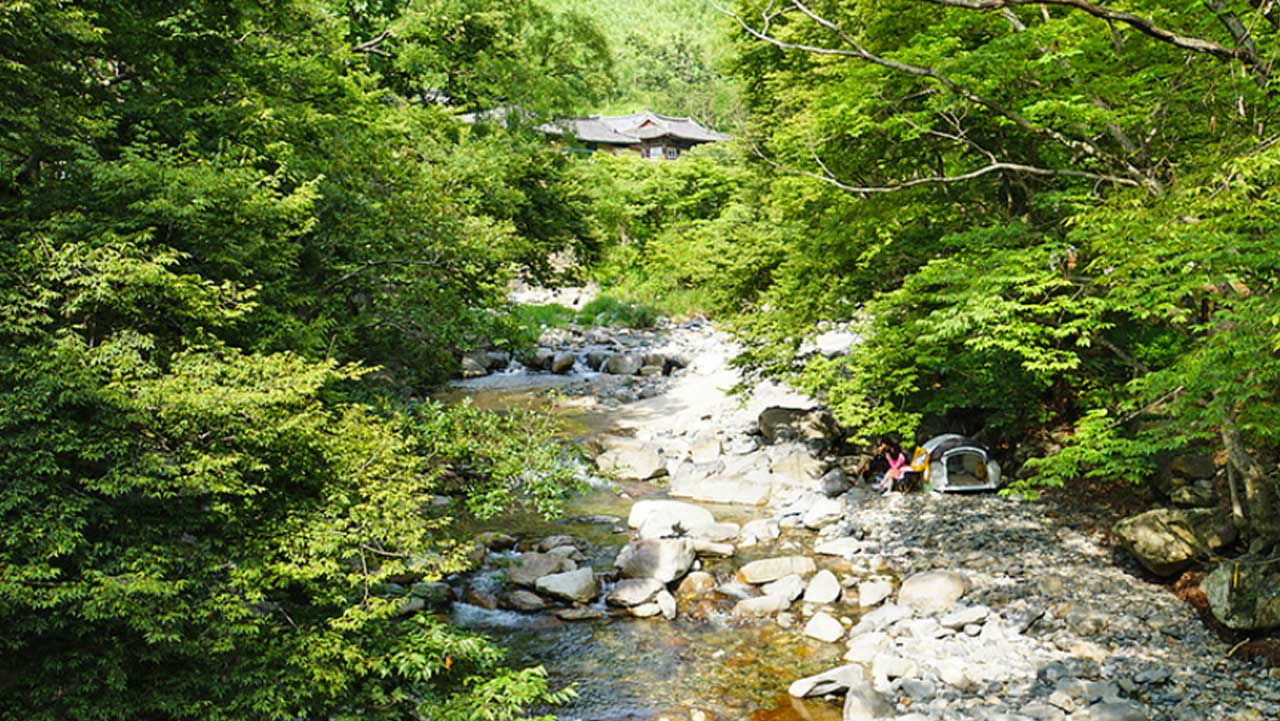 맑은 계곡물 소리를 들으며 유유히 걸을 수 있는 고즈넉한 숲길. / 경남 공식 블로그 고은주