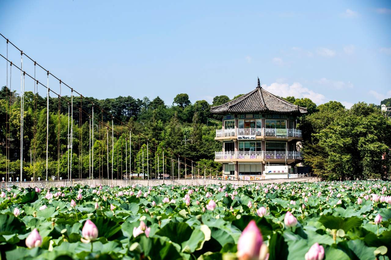 전주 덕진공원 전경. / ⓒ한국관광콘텐츠랩-이범수