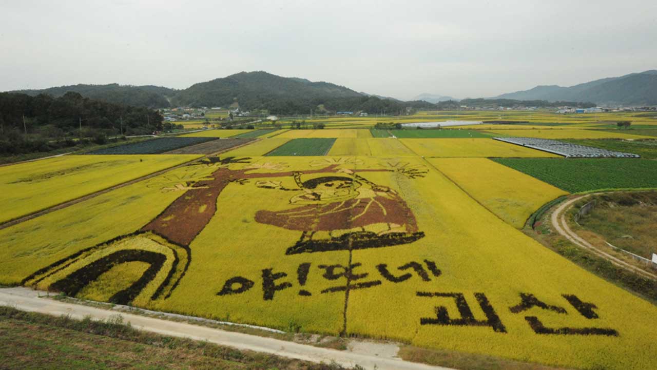황금빛 들녘 위에 정겹게 그려진 '야!뜨네 괴산' 그네 타는 아이 논 그림. / 괴산군