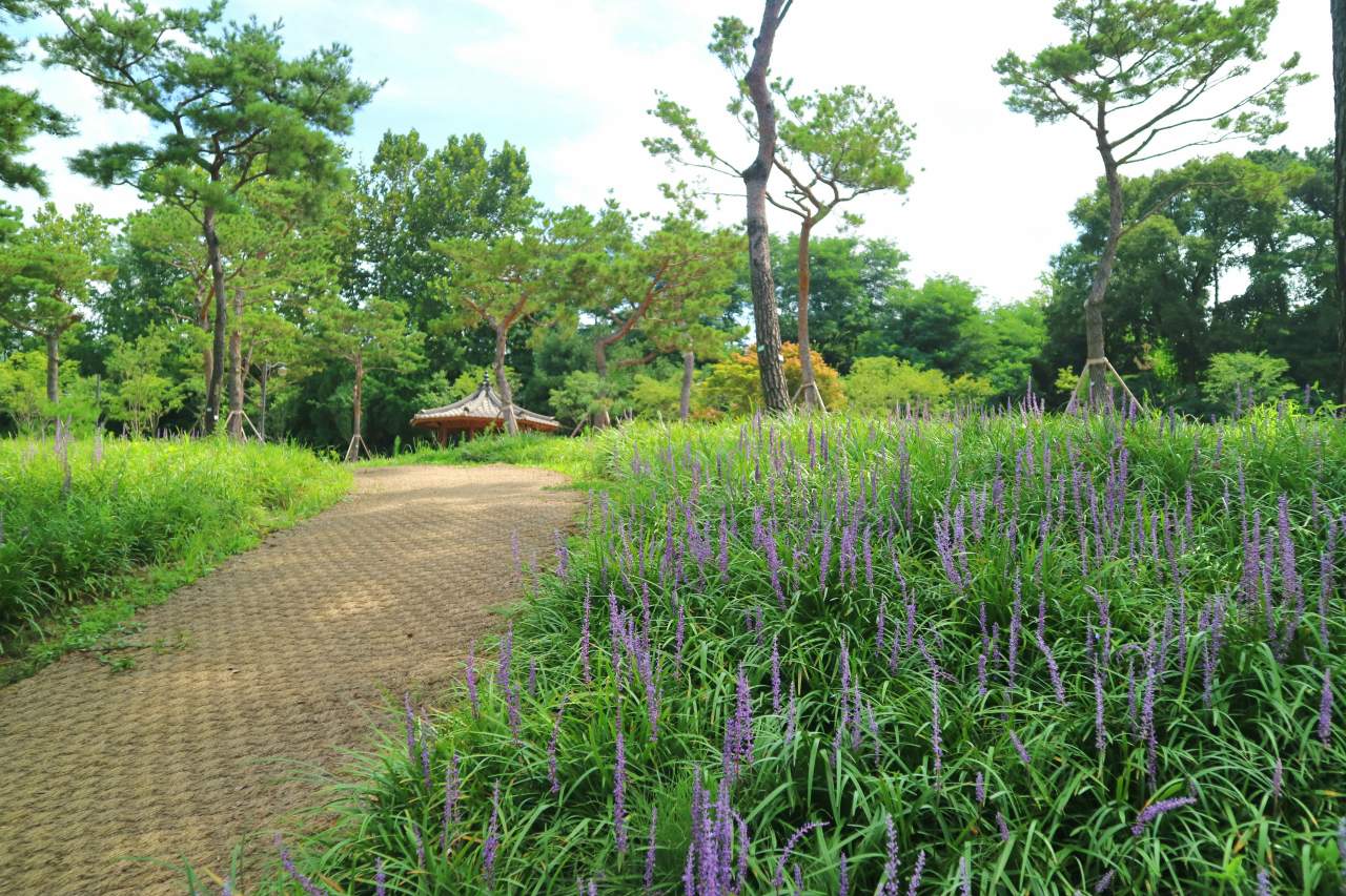 수원 노송지대 산책로. / ⓒ한국관광콘텐츠랩-최민희