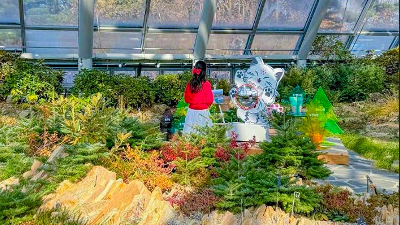 쾌적한 환경에서 둘러볼 수 있는 알파인하우스 내부. / 한국관광공사