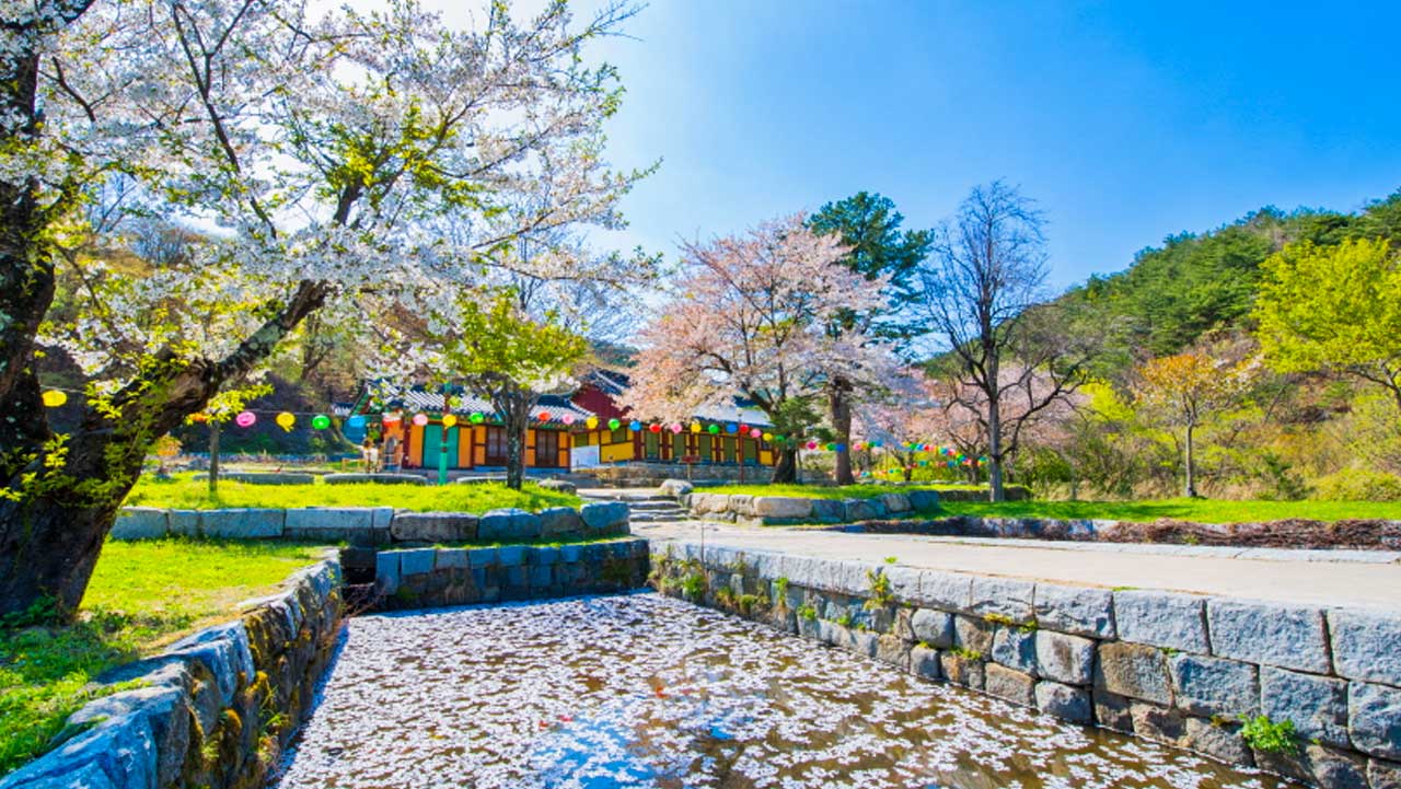 기와지붕 및 연못가와 화사하게 어우러진 봄날의 산사 풍경. / 고성군 문화관광