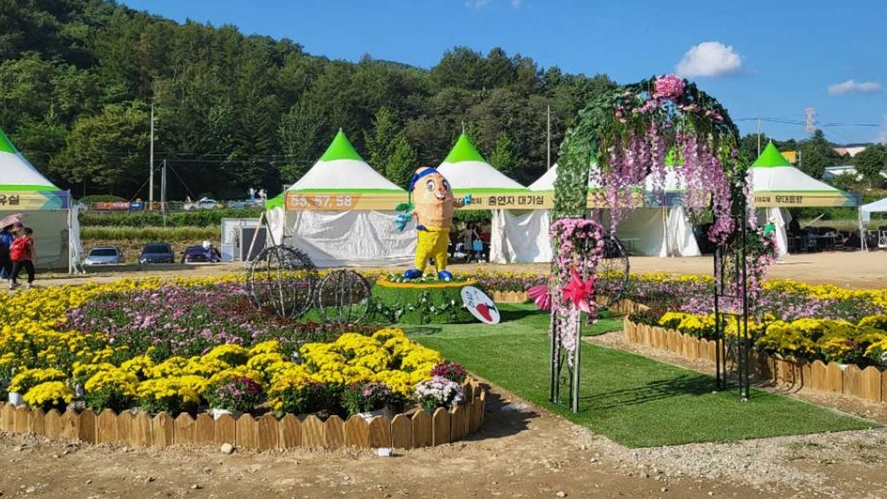 더덕 캐릭터 조형물과 화사한 꽃 장식이 방문객을 맞이하는 횡성 더덕 축제장. / 한국관광공사