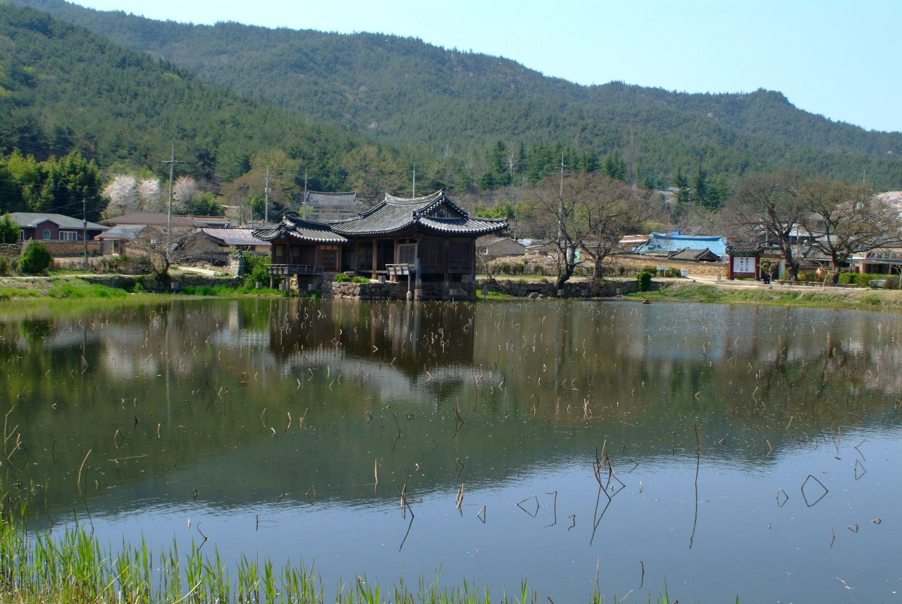 경주 서출지 전경. / ⓒ한국관광콘텐츠랩-김지호