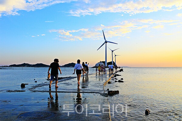 안산 탄도 바닷길, 하루 두 번 열리는 서해 ‘모세의 기적’ / 사진-안산시