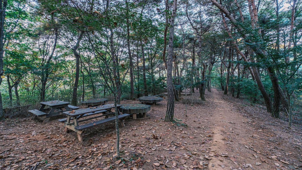 좌구산휴양랜드 산책로. / ⓒ한국관광콘텐츠랩-김영호