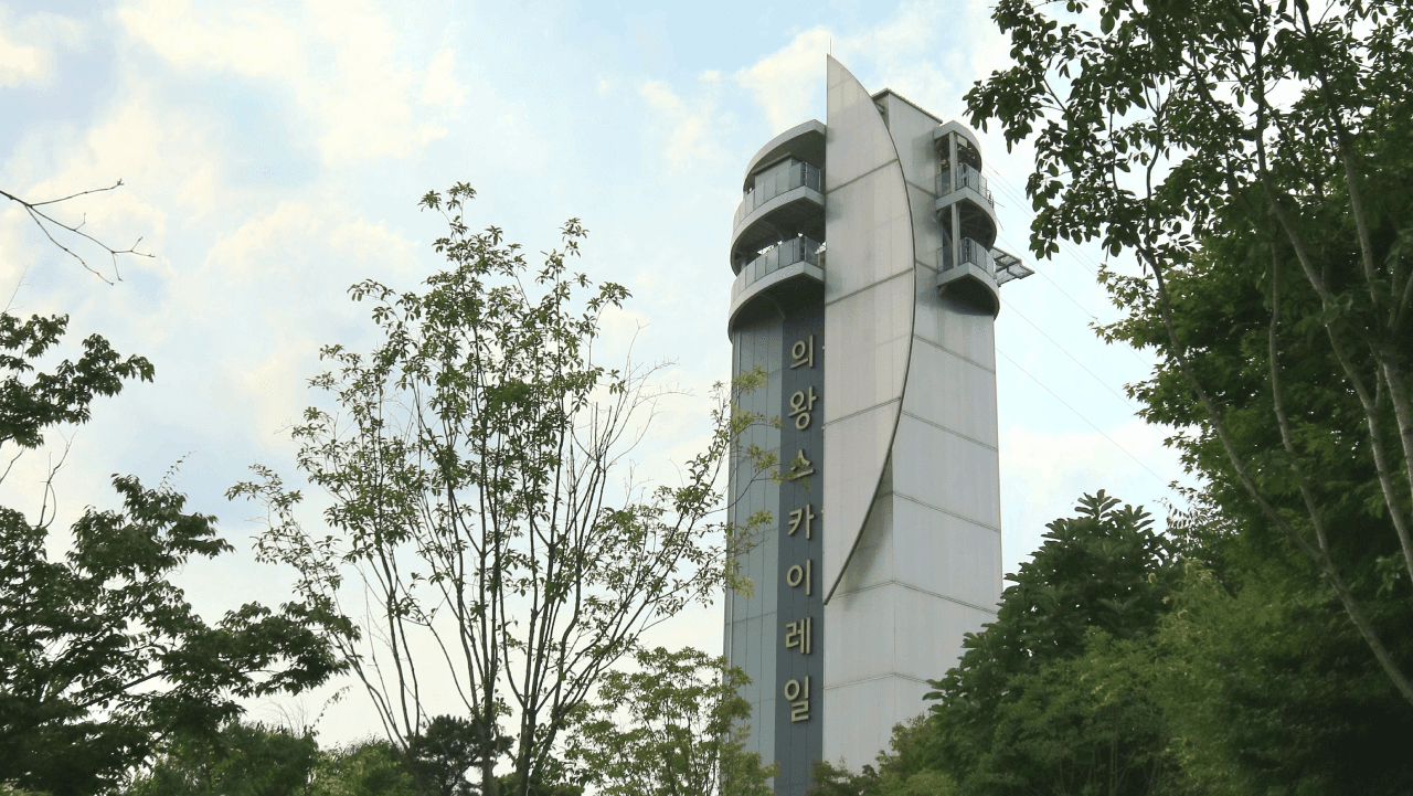 숲 위로 곧게 솟아 스릴을 선사하는 의왕스카이레일 타워 전경. / ⓒ한국관광콘텐츠랩-최민희