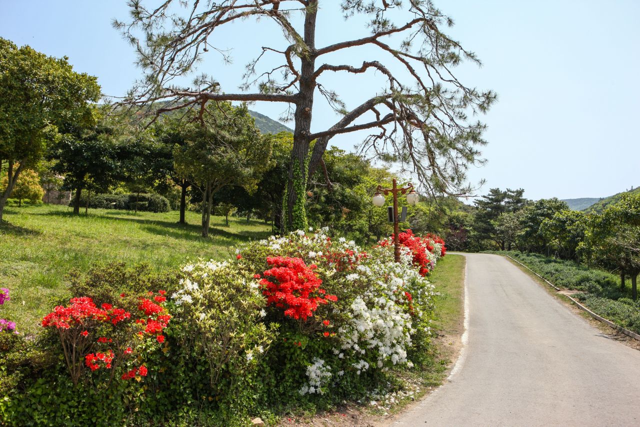 완도수목원 탐방로. / ⓒ한국관광콘텐츠랩-김지호