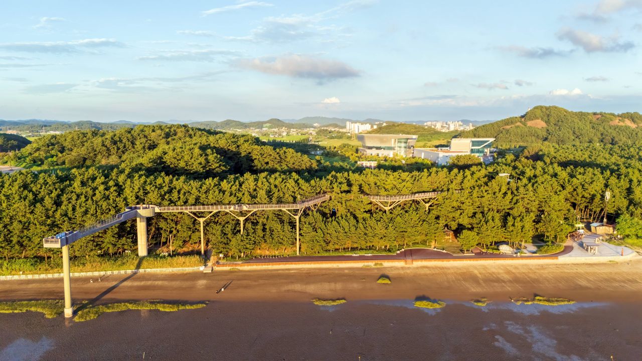 장항송림자연휴양림 전경. / ⓒ한국관광콘텐츠랩-김석태