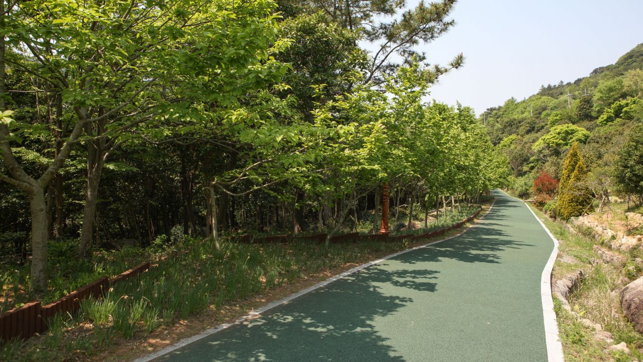 완도수목원 산책길. / ⓒ한국관광콘텐츠랩-김지호