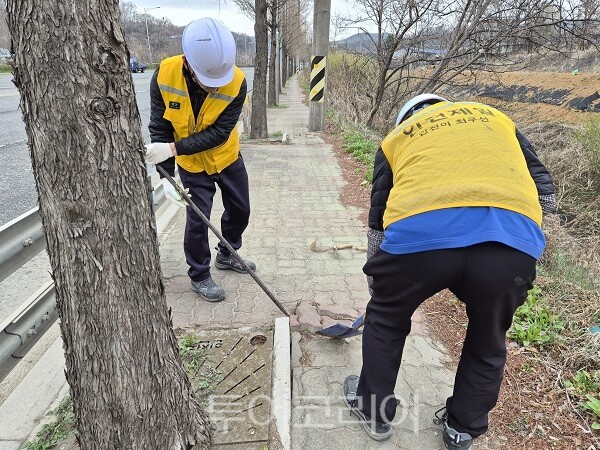 인천 검단구가 관내 보행자 안전을 위협하던 노후·돌출 가로수 철제 보호판을 자체 인력을 활용해 정비하고 있다.