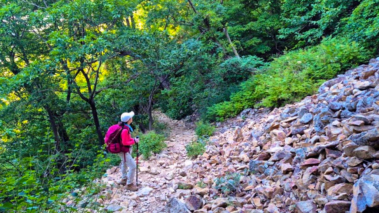 숲속 가파른 돌길 오르막을 등산스틱을 짚고 천천히 올라가는 탐방객 모습. / 국립공원 공식 블로그
