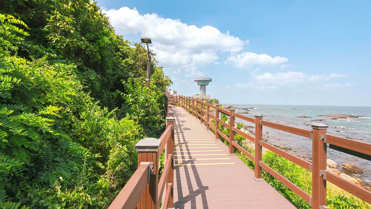 해안선을 따라 걸을 수 있는 쾌적한 데크 산책로. / 경주시 