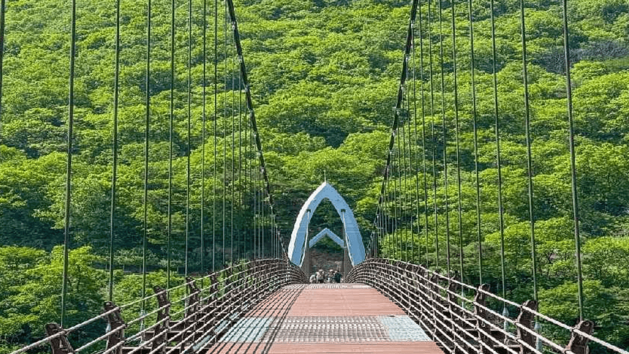 산막이옛길과 충청도양반길을 연결하며 푸른 숲으로 길게 이어지는 구름다리 보행로. / 괴산군청 공식 블로그
