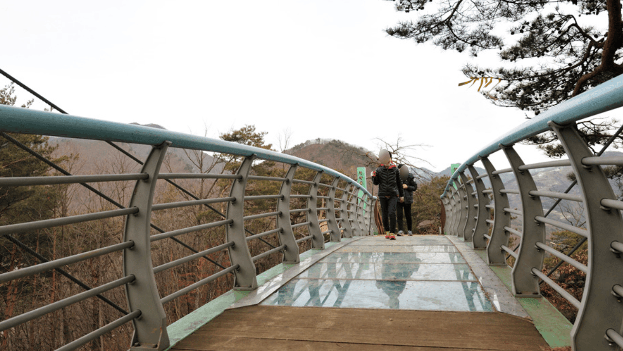 백운산 105m 기암절벽 위 스릴 넘치는 투명 유리 바닥길을 건너는 탐방객들. / 정선관광