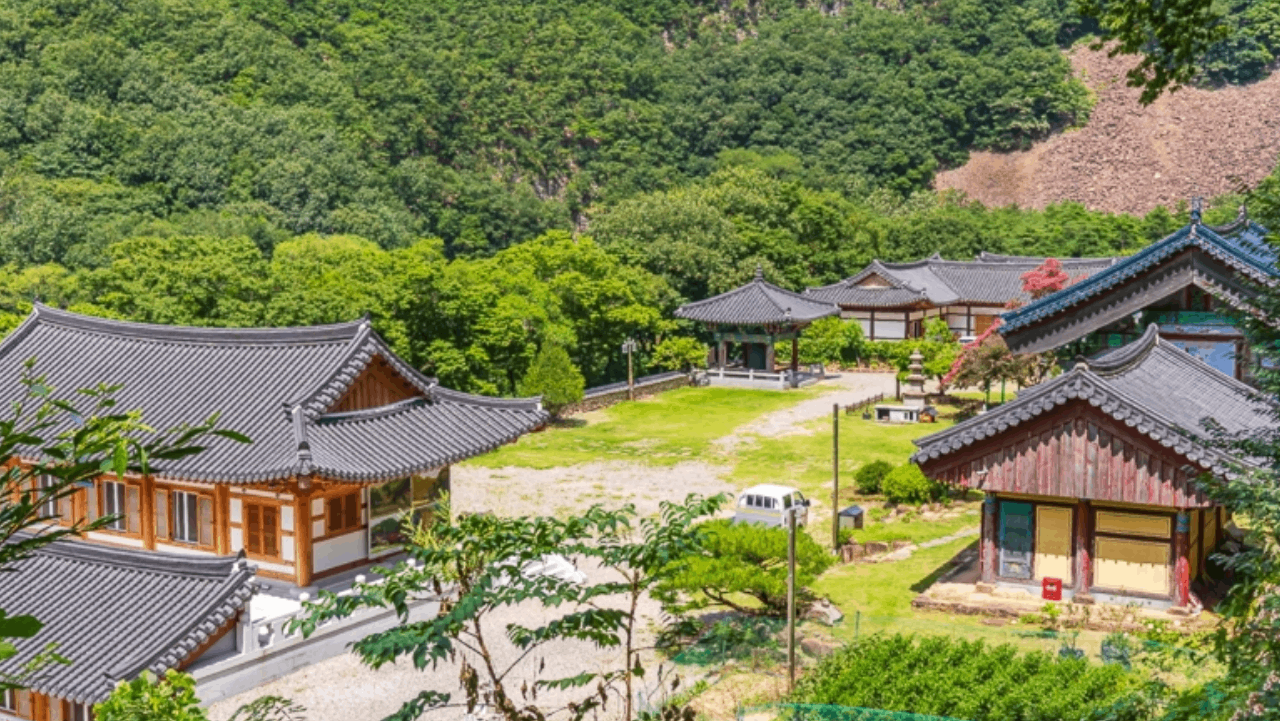 사찰 뒤편 백화산 산비탈의 파쇄석이 만들어낸 거대한 호랑이 형상과 경내 전경. / 한국관광콘텐츠랩