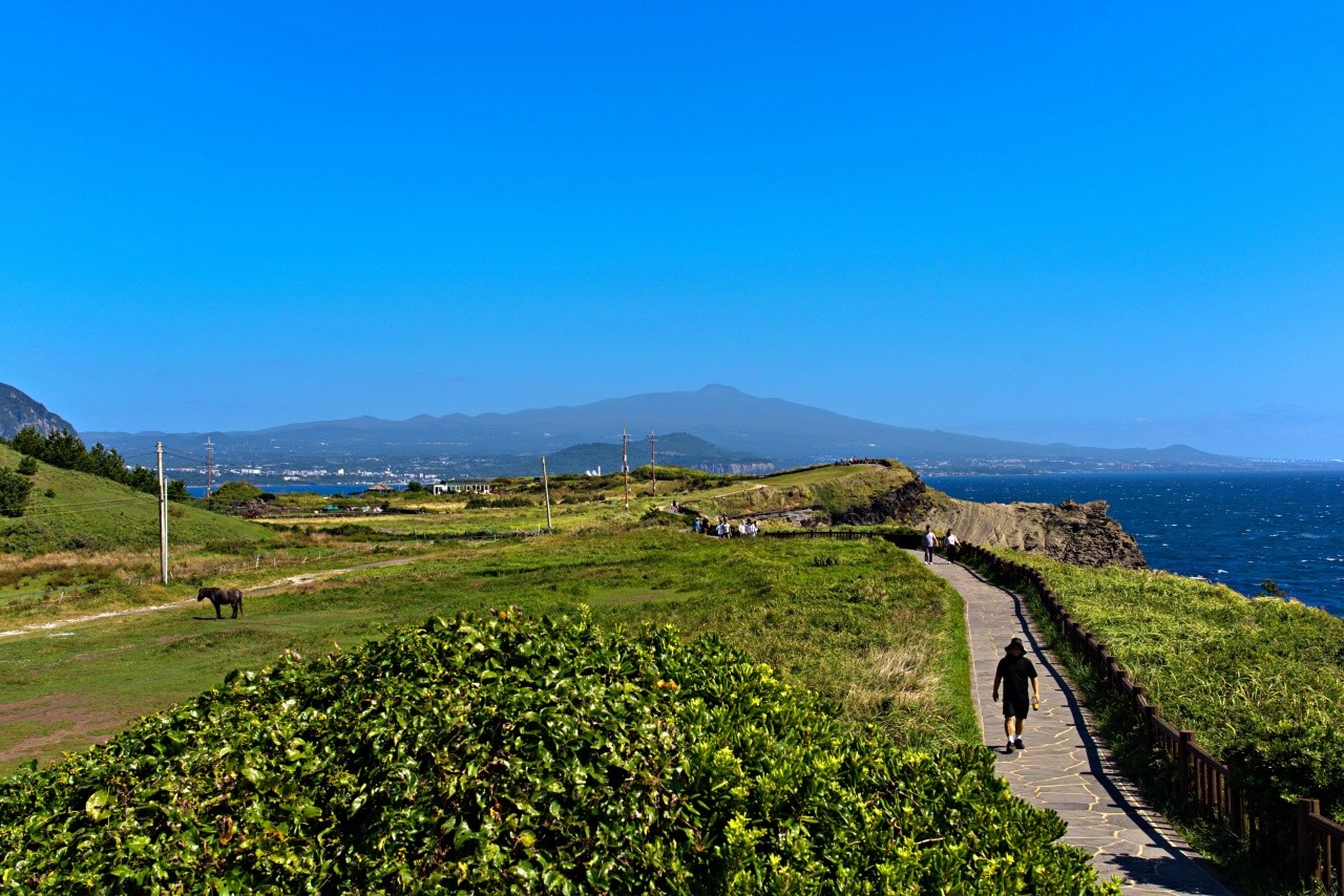 제주 송악산 둘레길. / ⓒ한국관광콘텐츠랩-천건엽