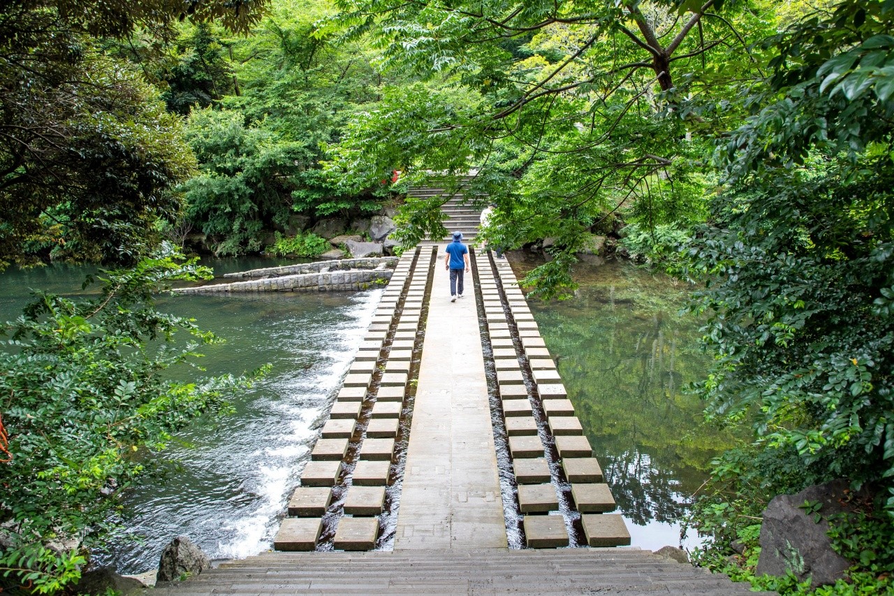 천지연폭포 돌다리. / ⓒ한국관광콘텐츠랩-이범수