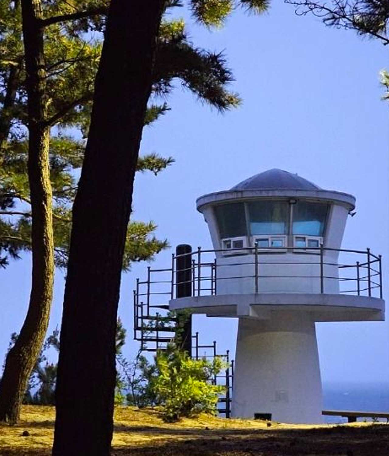 떼뿌리해변 인근 울창한 소나무 숲 사이로 바다를 조망할 수 있는 해안 전망대. / ⓒ한국관광콘텐츠랩 