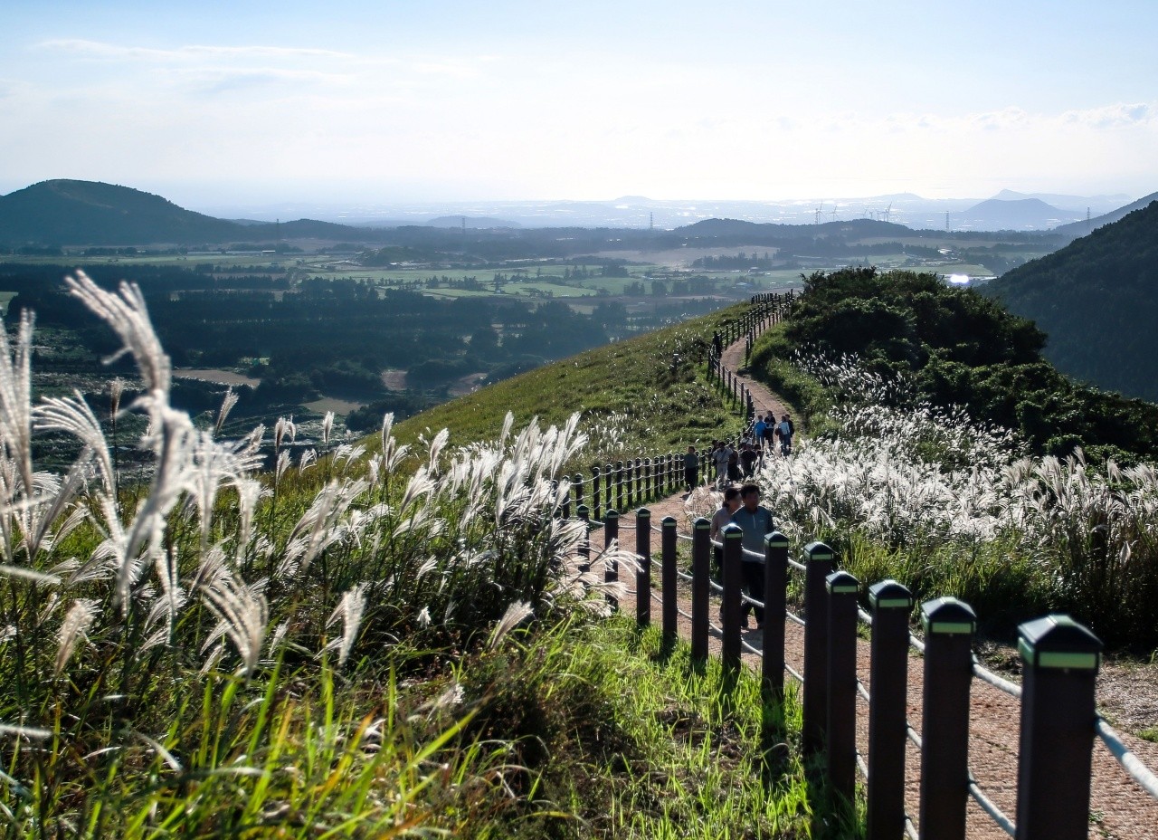 제주 새별오름 산책로. / ⓒ한국관광콘텐츠랩-김계호