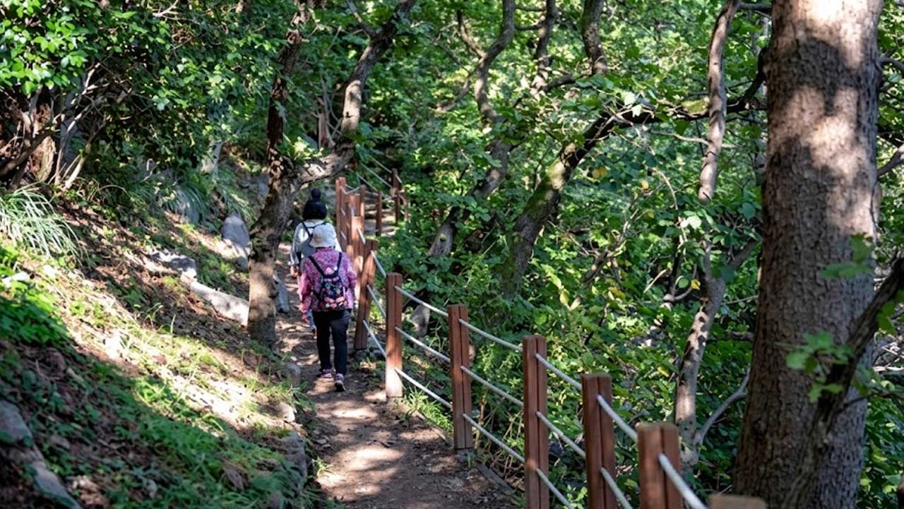 나무 그늘이 햇빛을 가려줘 호젓하게 산책하기 좋은 숲속 탐방로. / 비짓부산