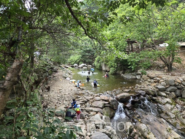 물한계곡/가진=영동군
