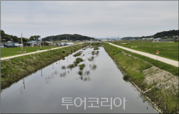교산천 전경