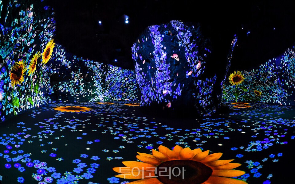 화암동굴/사진=정선군