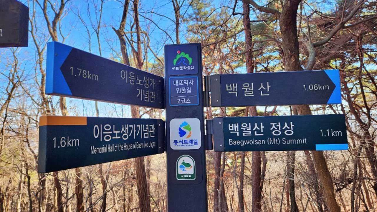 백월산 정상 아래 주차장에서 임도와 둘레길 방향을 안내하는 나무 안내표. / 충남시