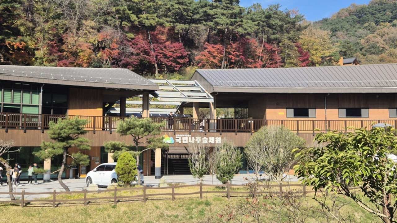 산림교육 프로그램 안내와 다양한 방문객 체험을 지원하는 국립나주숲체원 메인 센터. / 한국산림복지진흥원