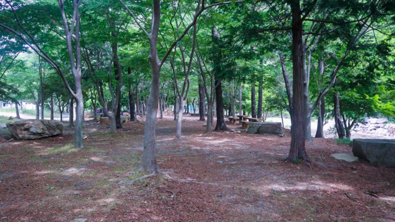 울창한 나무 그늘 아래에서 한낮의 더위를 식히며 산책하기 좋은 숲속 휴게 공간. / 전남시