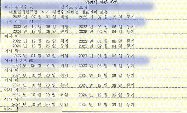 재단법인 김포FC 이사진. 김병수 김포시장 겸 구단주 아래 있는 '이00'이사는 홍철호 전 의원이 창업한 회사에 근무하는 사람이다. 김포FC는 지방권력 카르텔의 끝판왕 그 이상도 이하도 아니다