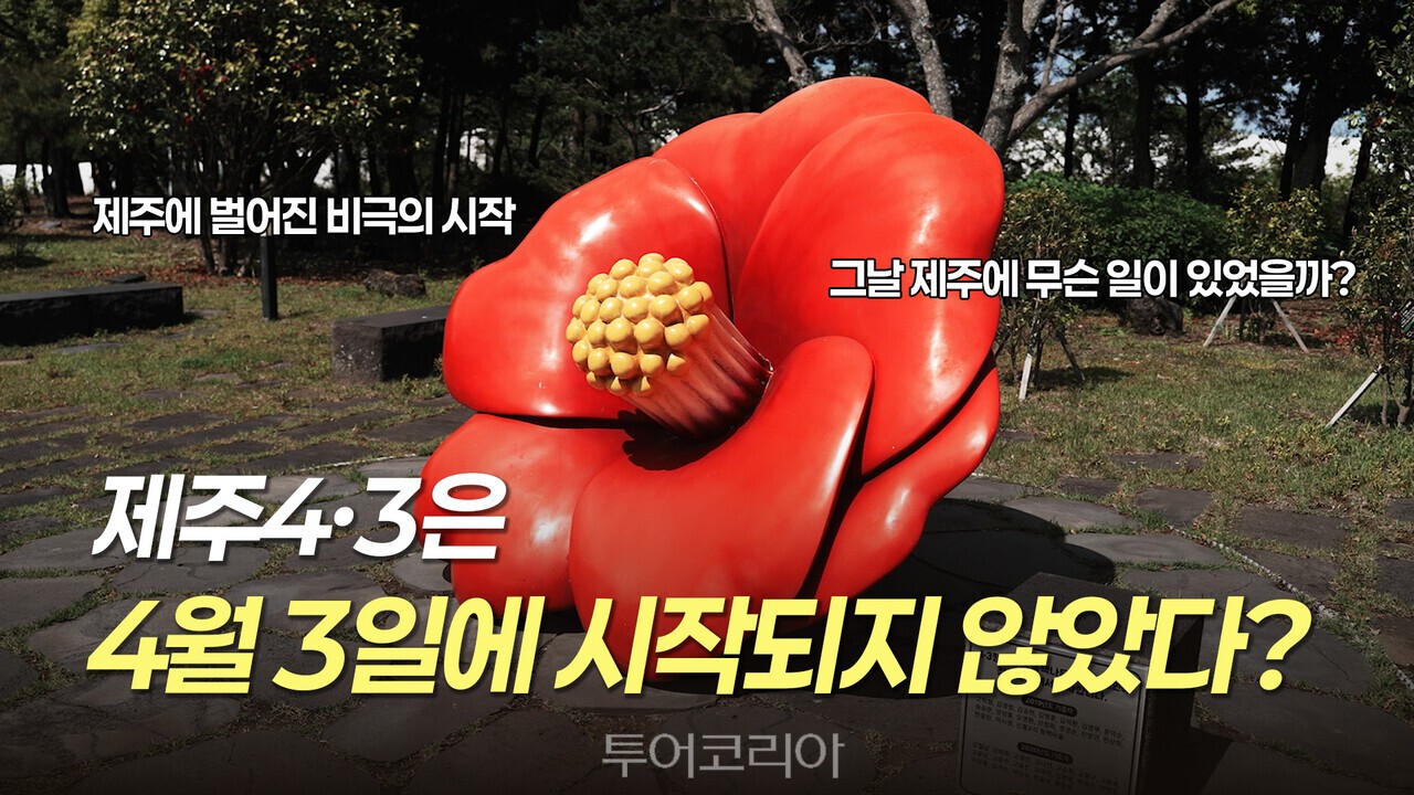 사진-제주관광공사
