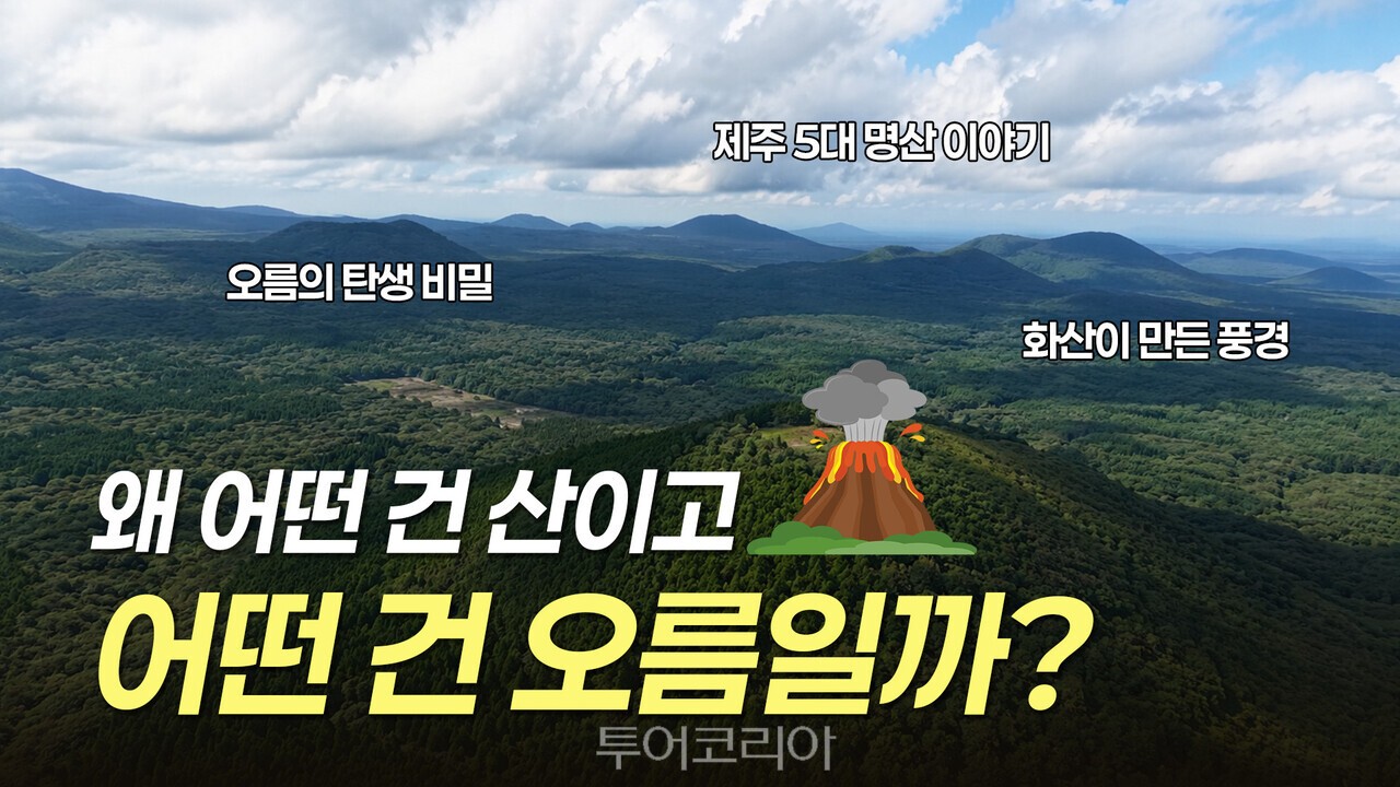 사진-제주관광공사