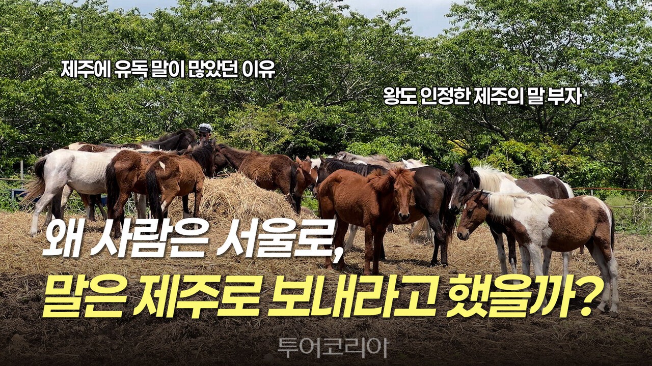 사진-제주관광공사