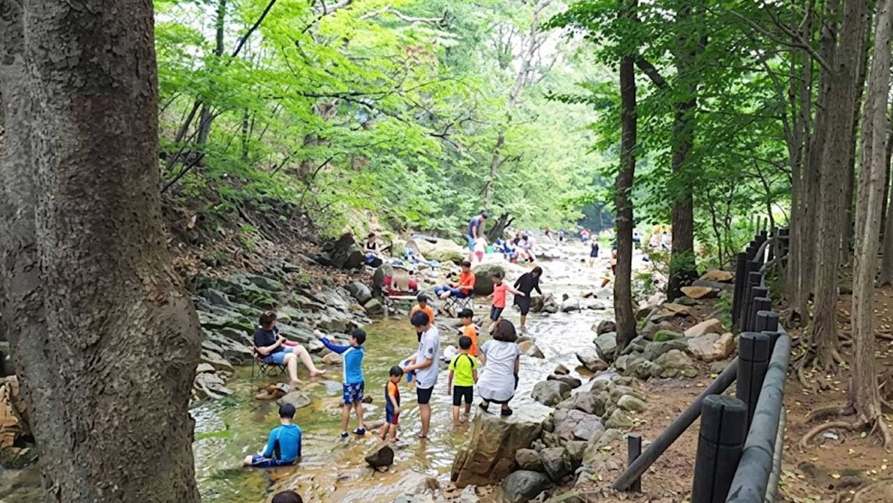 수심이 얕고 울창한 나무 그늘이 드리워져 아이들과 안전하게 물놀이를 즐기기 좋다. / 내 손안에 서울