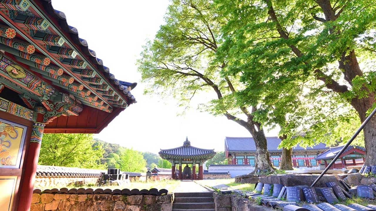 두 봉우리 사이 아늑한 터에 자리해 고목과 전각이 정갈하게 어우러진 경내 풍경. / 한국관광공사