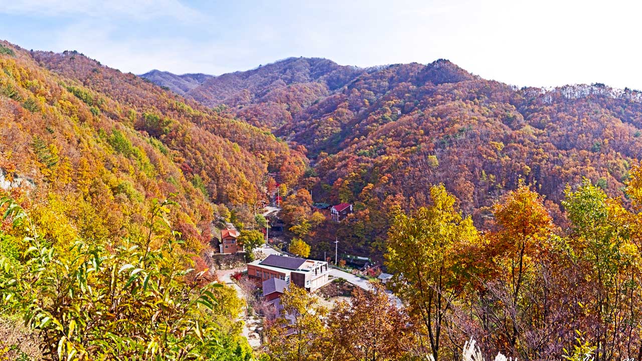 해발 700m 청정 산자락에 아늑하게 들어선 민주지산 자연휴양림. / 숲나들e