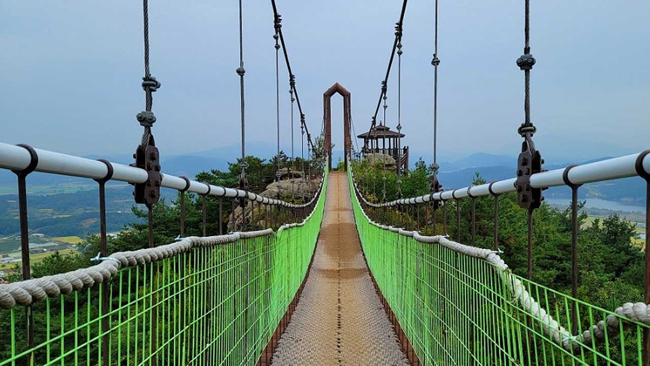 해발 240m 높이에서 낙동강과 들판을 한눈에 내려다보며 건너는 출렁다리 풍경. / 상주시
