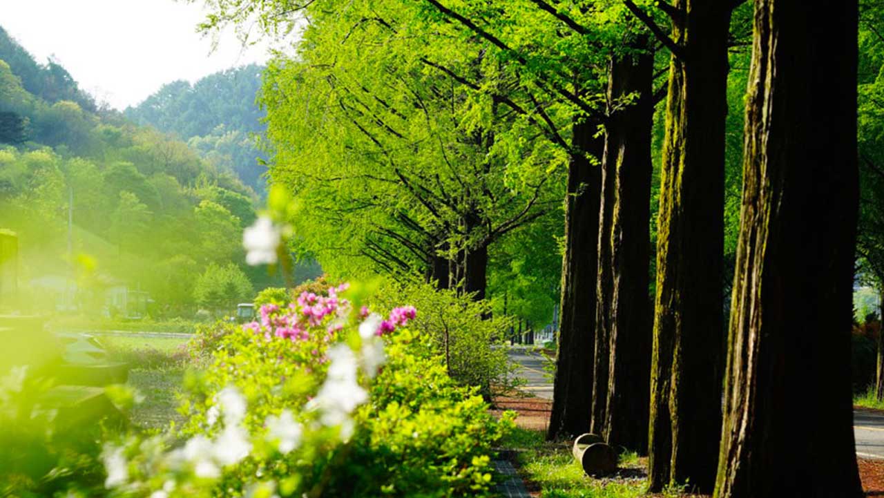 경사가 완만하고 계단이 없어 아이나 어르신과 함께 편안하게 걸을 수 있는 평탄한 산책로. / 전북문화관광