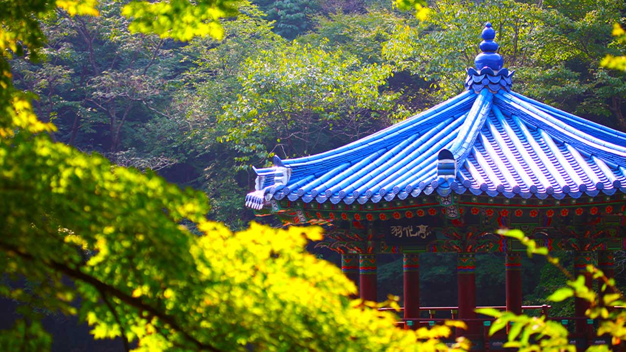 나뭇잎 사이로 파란 기와지붕이 선명하고 화려하게 도드라지는 우화정 모습. / 전북문화관광