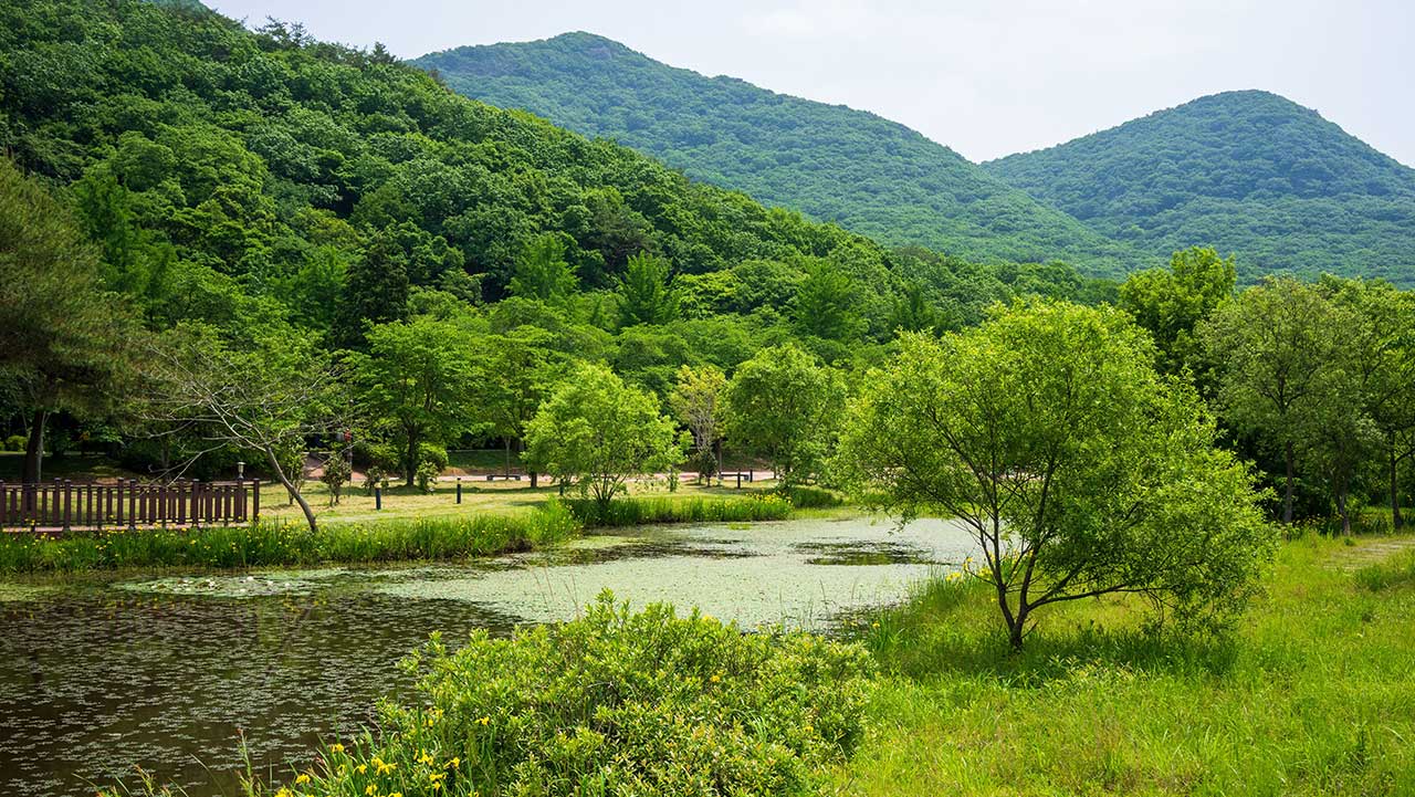 산새 소리와 산바람을 느끼며 천천히 걸어볼 수 있는 공작산 생태숲 연못 전경. / ⓒ한국관광콘텐츠랩-김지호